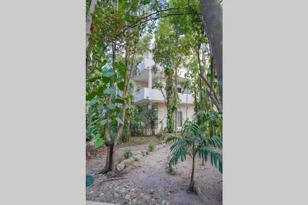 El Vivero, Beautiful Apartment In Tulum A3